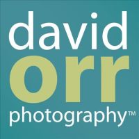 David Orr