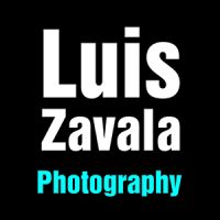 Luis Zavala
